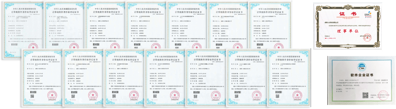 成都专业的软件公司